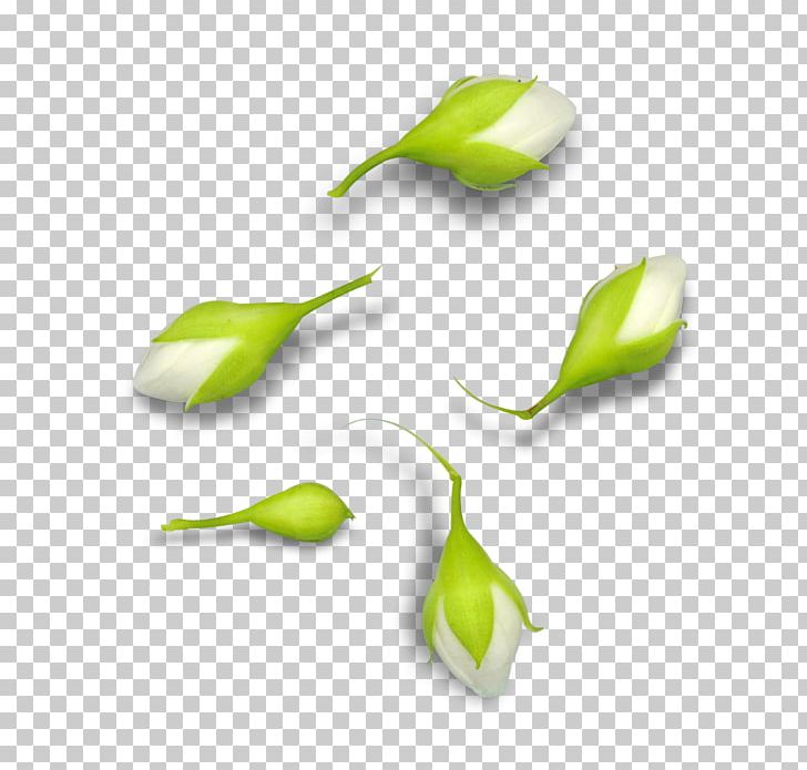 Flower Drawing PNG, Clipart, Ayraclar, Banco De Imagens, Computer Icons, Download, Drawing Free PNG Download