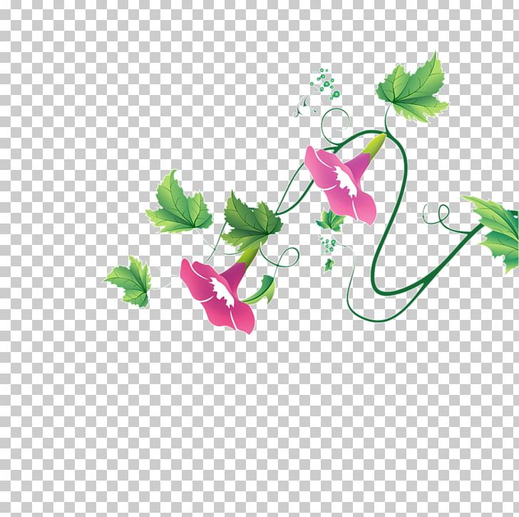 Ipomoea Nil Flower PNG, Clipart, 3d Computer Graphics, Branch, Cartoon, Download, Encapsulated Postscript Free PNG Download