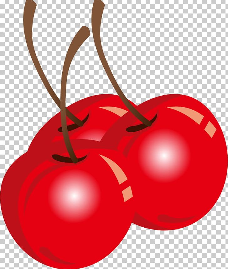 Tomato PNG, Clipart, Blue, Cherry, Color, Copyright, Effect Free PNG Download
