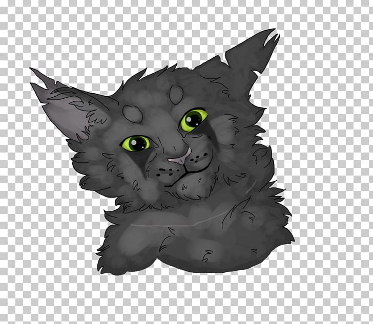 Whiskers Korat Kitten Black Cat Snout PNG, Clipart, Black Cat, Carnivoran, Cat, Cat Like Mammal, Claw Free PNG Download