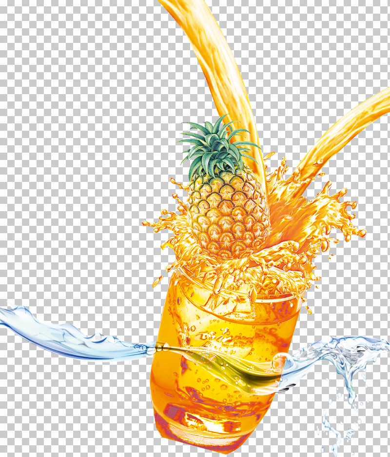 Pineapple PNG, Clipart, Biology, Fruit, Juice, Pineapple, Plant Free PNG Download