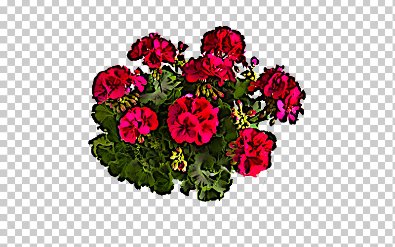 Flower Plant Pink Petal Annual Plant PNG, Clipart, Annual Plant, Flower, Geranium, Impatiens, Magenta Free PNG Download