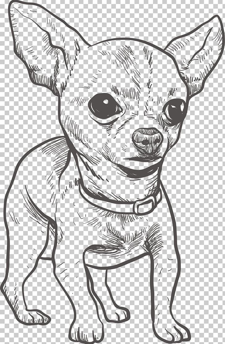 Chihuahua Puppy Drawing Illustration PNG, Clipart, Animal, Artwork, Black And White, Carnivoran, Chihuahua Vector Free PNG Download