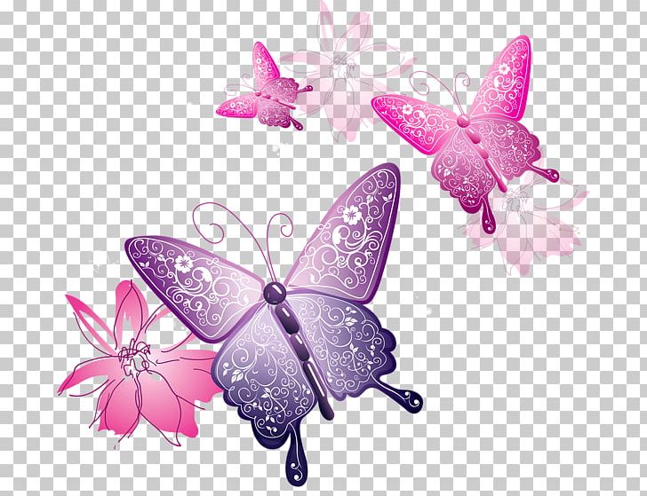 Butterfly PNG, Clipart, Animals, Brush Footed Butterfly, Butterfly, Color, Download Free PNG Download