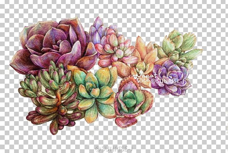 Succulent Plant Colored Pencil Watercolor Painting Leaf PNG, Clipart, Color, Cut Flowers, Euclidean Vector, Floral Design, Floristry Free PNG Download