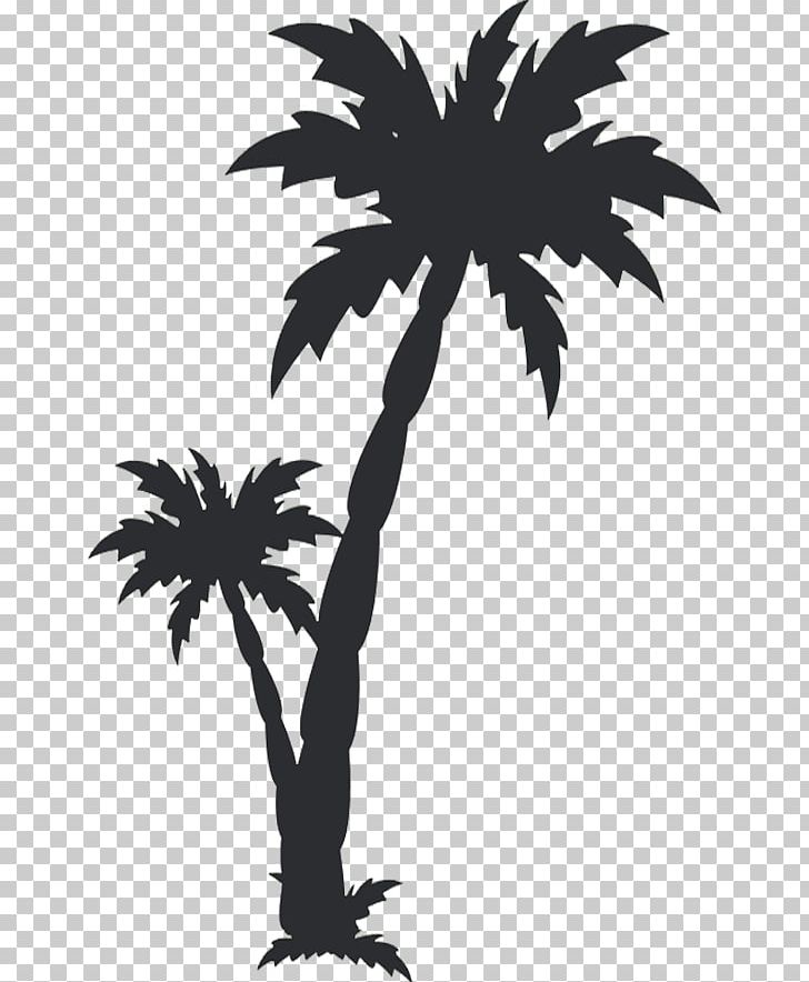 Arecaceae PNG, Clipart, Arecaceae, Arecales, Art, Black And White, Branch Free PNG Download