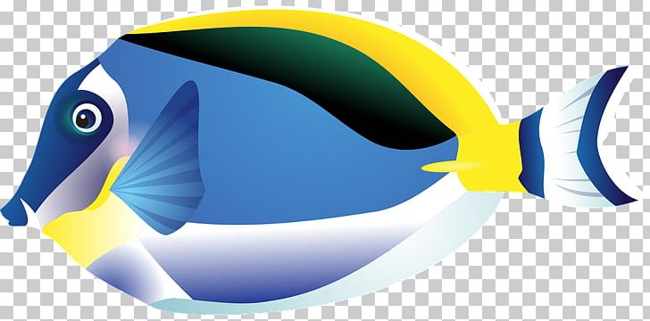 Tropical Fish Drawing PNG, Clipart, Animals, Beak, Blue, Clip Art, Computer Wallpaper Free PNG Download