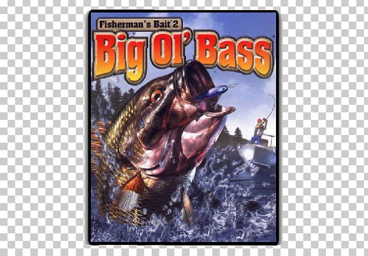 Fisherman's Bait 2: Big Ol' Bass PlayStation Fisherman's Bait: A Bass Challenge Video Games JB The Super Bass PNG, Clipart,  Free PNG Download