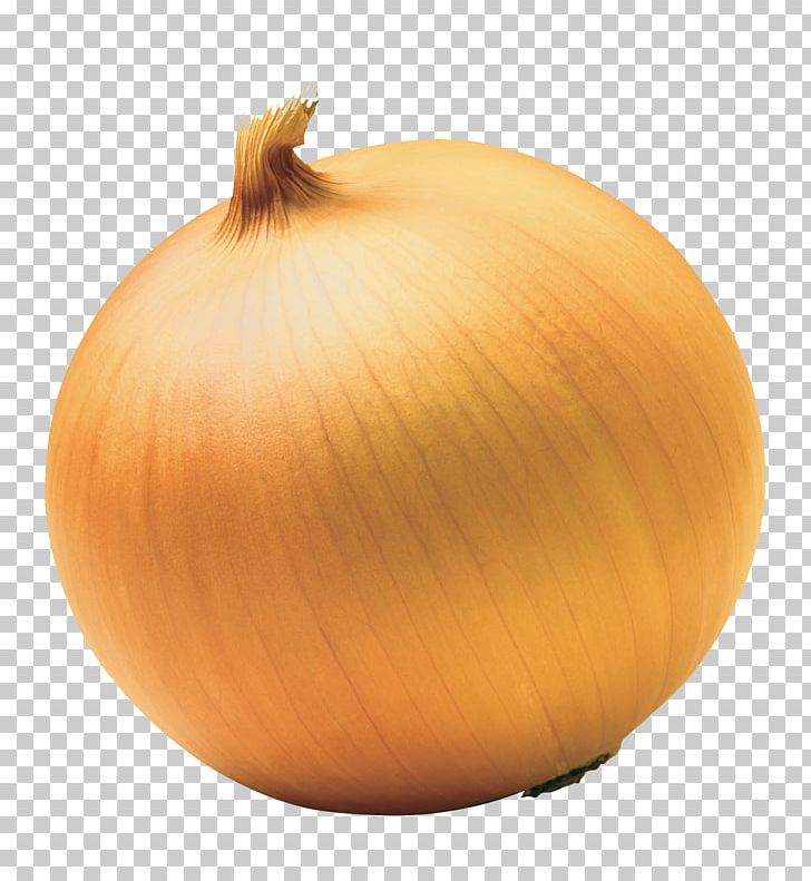Red Onion Yellow Onion White Onion Sweet Onion PNG, Clipart, Calabaza, Caramelization, Commodity, Cooking, Cucurbita Free PNG Download