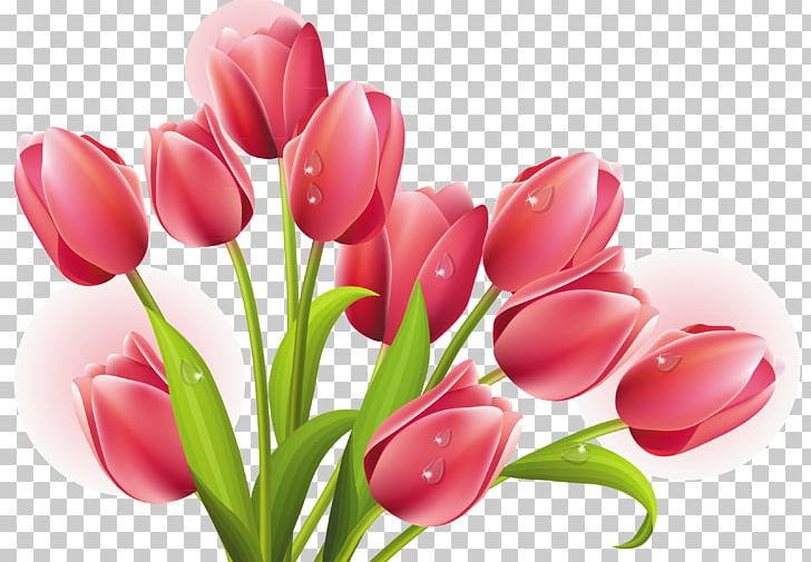 Tulip Mania Arranging Cut Flowers PNG, Clipart, Arranging, Arranging Cut Flowers, Bud, Clip Art, Color Free PNG Download