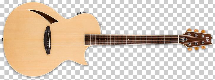 Acoustic Guitar Acoustic-electric Guitar Tiple PNG, Clipart, Acoustic, Acousticelectric Guitar, Acoustic Electric Guitar, Acoustic Guitar, Cuatro Free PNG Download