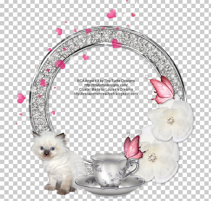 Cat Frames Reality PNG, Clipart, Animals, Bank Central Asia, Blog, Cat, Christmas Free PNG Download