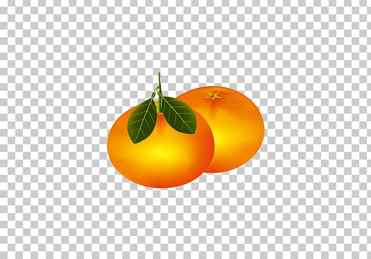 Clementine Mandarin Orange Icon PNG, Clipart, Adobe Illustrator, Citrus, Encapsulated Postscript, Food, Fruit Free PNG Download