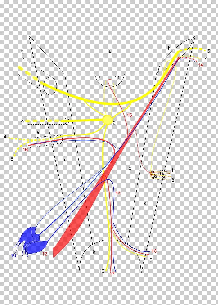 Product Design /m/02csf Drawing Line Point PNG, Clipart, Angle, Area, Art, Canali, Drawing Free PNG Download