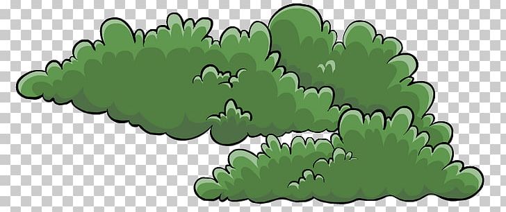 Tree Shrub Club Penguin Plant PNG, Clipart, Berry, Blueberry, Bush, Club, Club Penguin Free PNG Download