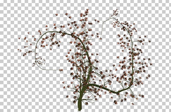 Twig Line Point Plant Stem Leaf PNG, Clipart, Area, Art, Blossom, Branch, Flora Free PNG Download