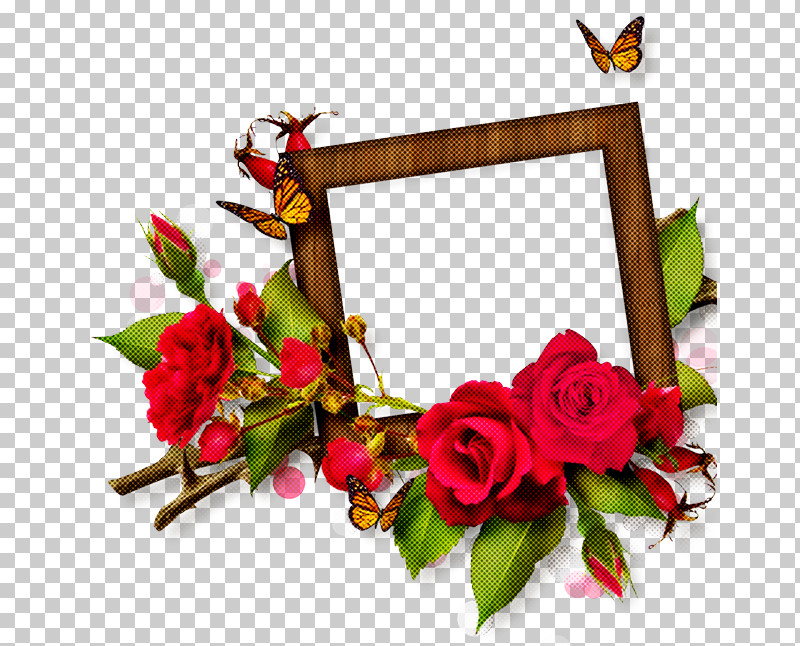 Picture Frame PNG, Clipart, Branch, Cut Flowers, Flower, Picture Frame, Plant Free PNG Download