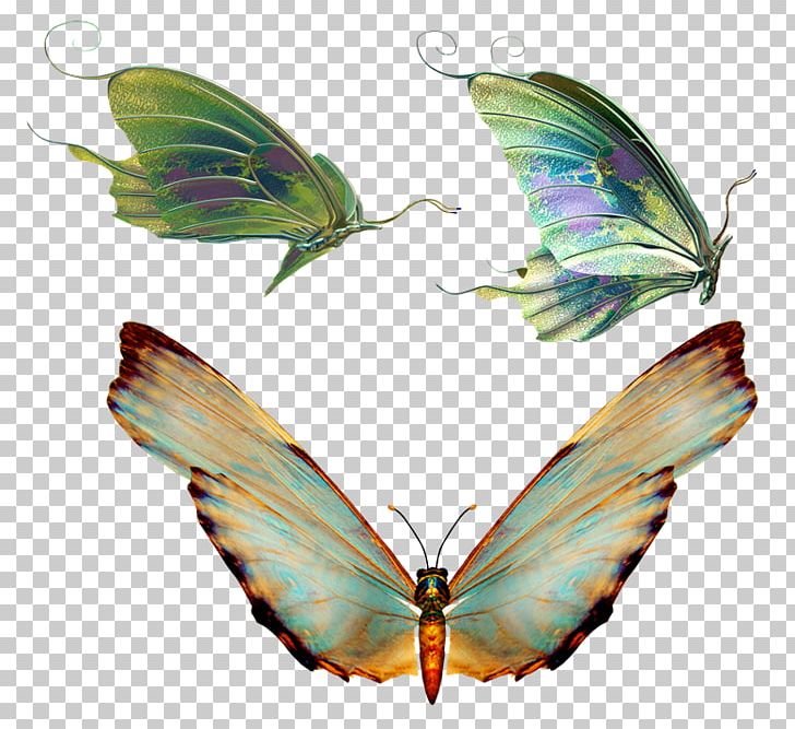 Butterfly Insect PNG, Clipart, Arthropod, Brush Footed Butterfly, Butterflies And Moths, Butterfly, Download Free PNG Download