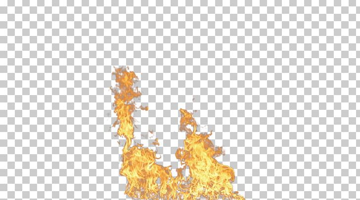 Light Flame Fire Combustion PNG, Clipart, Baby, Combustion, Computer Wallpaper, Conflagration, Design Free PNG Download