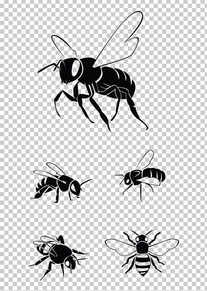 Western Honey Bee Graphics Illustration PNG, Clipart, Africanized Bee, Arthropod, Bee, Bee Removal, Black And White Free PNG Download