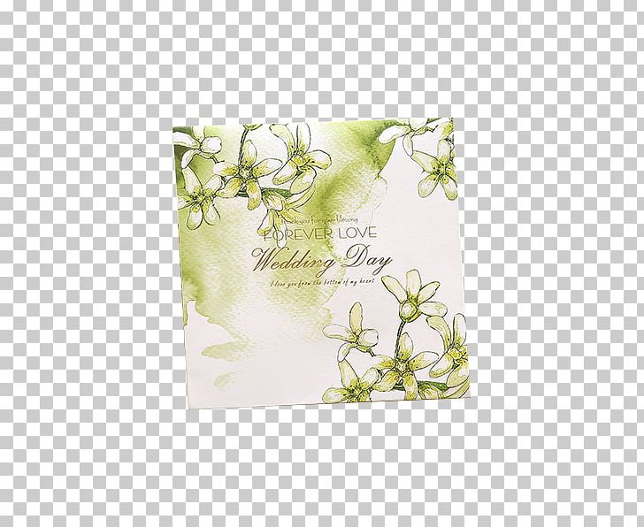 Wedding Invitation Convite Green Wedding PNG, Clipart, Beautiful, Beautiful Invitations, Birthday, Bride, Convite Free PNG Download