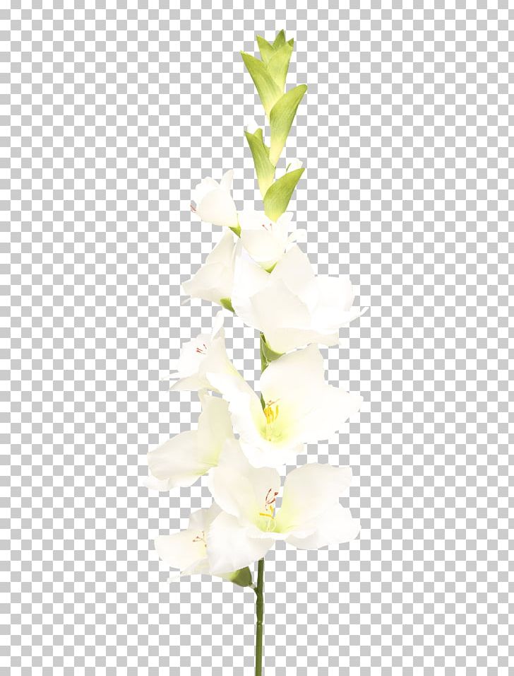 Moth Orchids Cut Flowers Floral Design Plant Stem PNG, Clipart, Art, Cut Flowers, Floral Design, Flower, Flowering Plant Free PNG Download