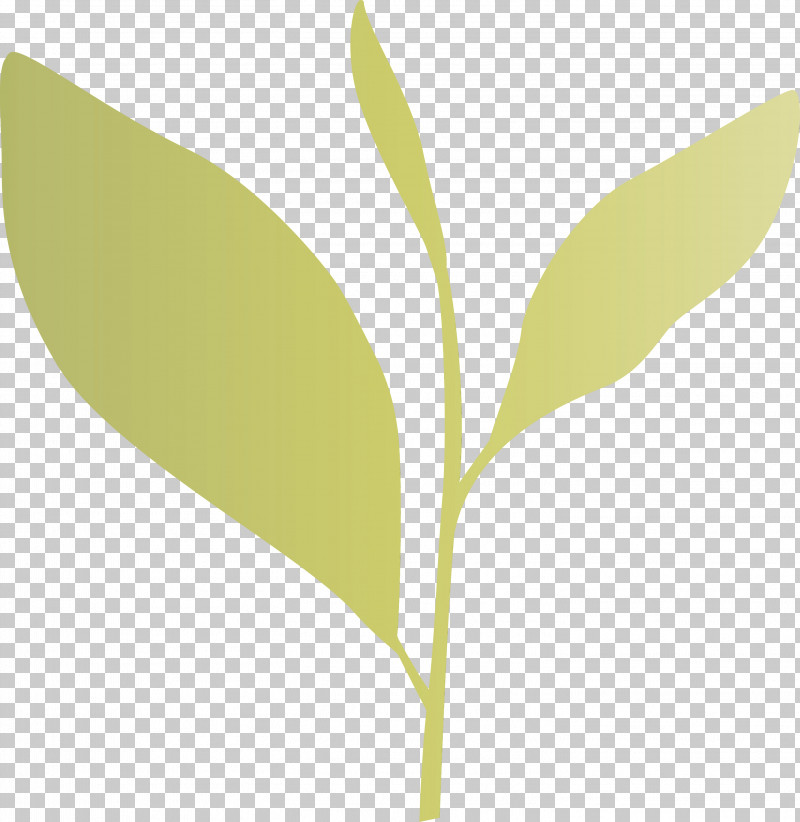 Leaf Plant Flower Tree Plant Stem PNG, Clipart, Eucalyptus, Flower, Laurel Family, Leaf, Paint Free PNG Download