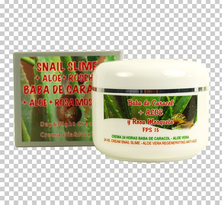 Aloe Vera Sweet-Brier Cream Snail Slime PNG, Clipart, Aloe, Aloe Vera, Animals, Cosmetics, Cream Free PNG Download