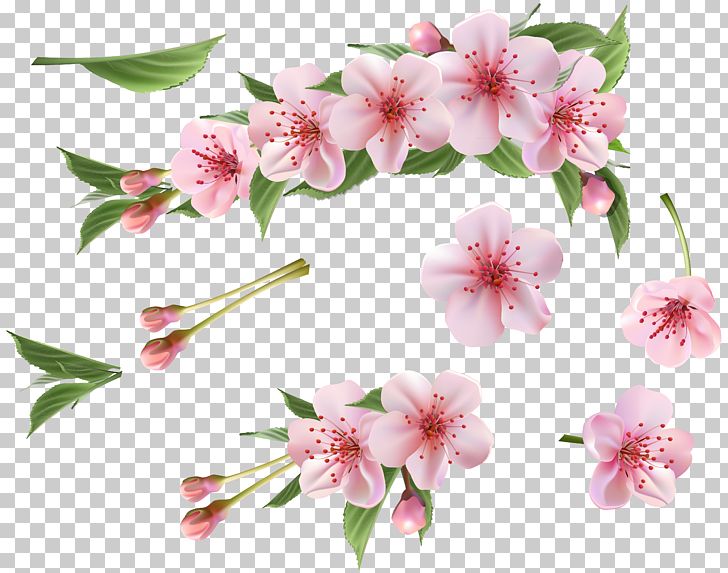Branch PNG, Clipart, Arranging Cut Flowers, Artificial Flower, Blossom, Branch, Cherry Blossom Free PNG Download