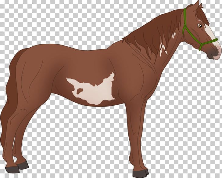 Mane Pony Mare Mustang Stallion PNG, Clipart, American Miniature Horse, American Paint Horse, Animal Figure, Bridle, Colt Free PNG Download