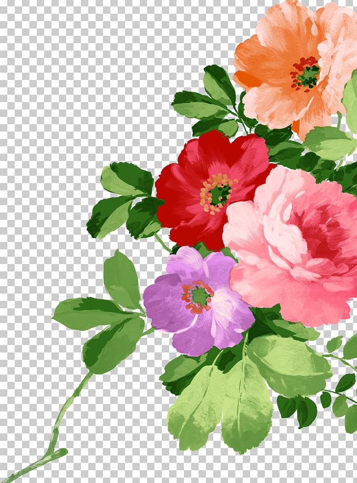 Watercolour Flowers Painting PNG, Clipart, Annual Plant, Blossom, Continental, Drawing, Flo Free PNG Download