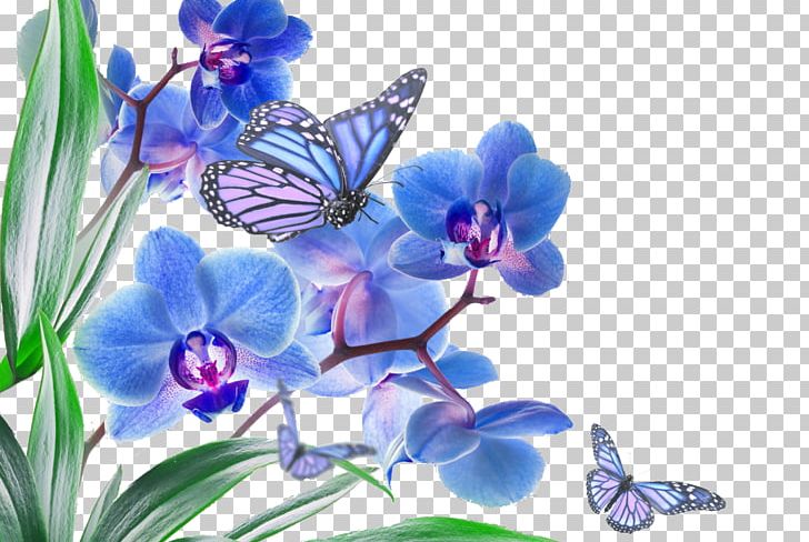 Butterfly Pink Flowers Orchid Blue PNG, Clipart, Blue, Brush Footed Butterfly, Butterfly Gardening, Desktop Wallpaper, Flora Free PNG Download