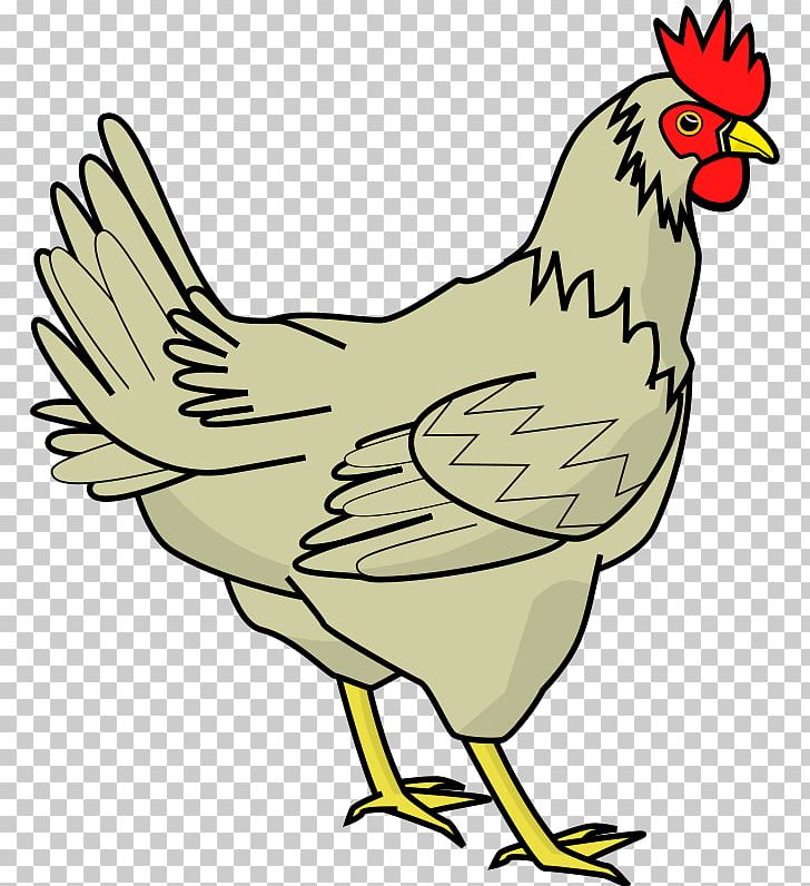 Cochin Chicken Rooster PNG, Clipart, Art, Artwork, Bantam, Beak, Bird Free PNG Download