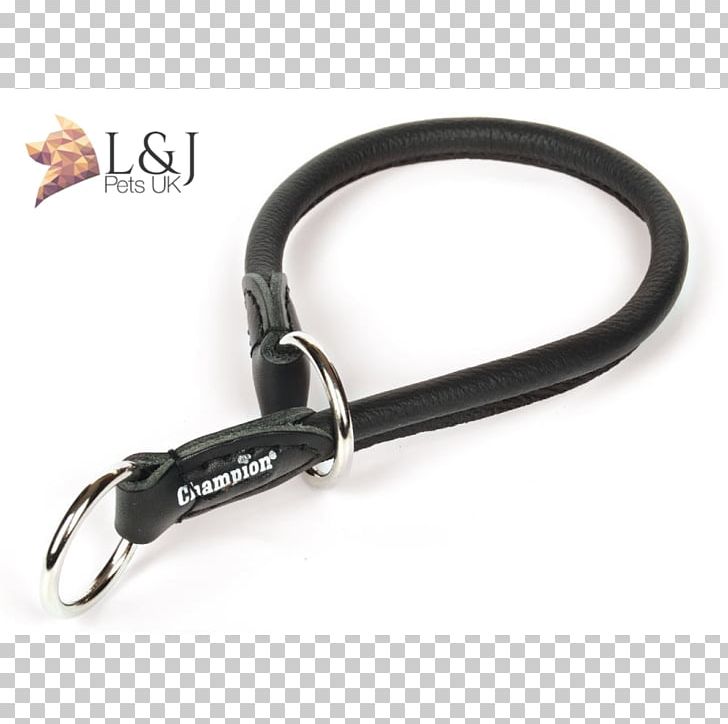 Leash Collar Leather Skin Champion PNG, Clipart, Animal, Champion, Collar, Computer Hardware, Fashion Accessory Free PNG Download