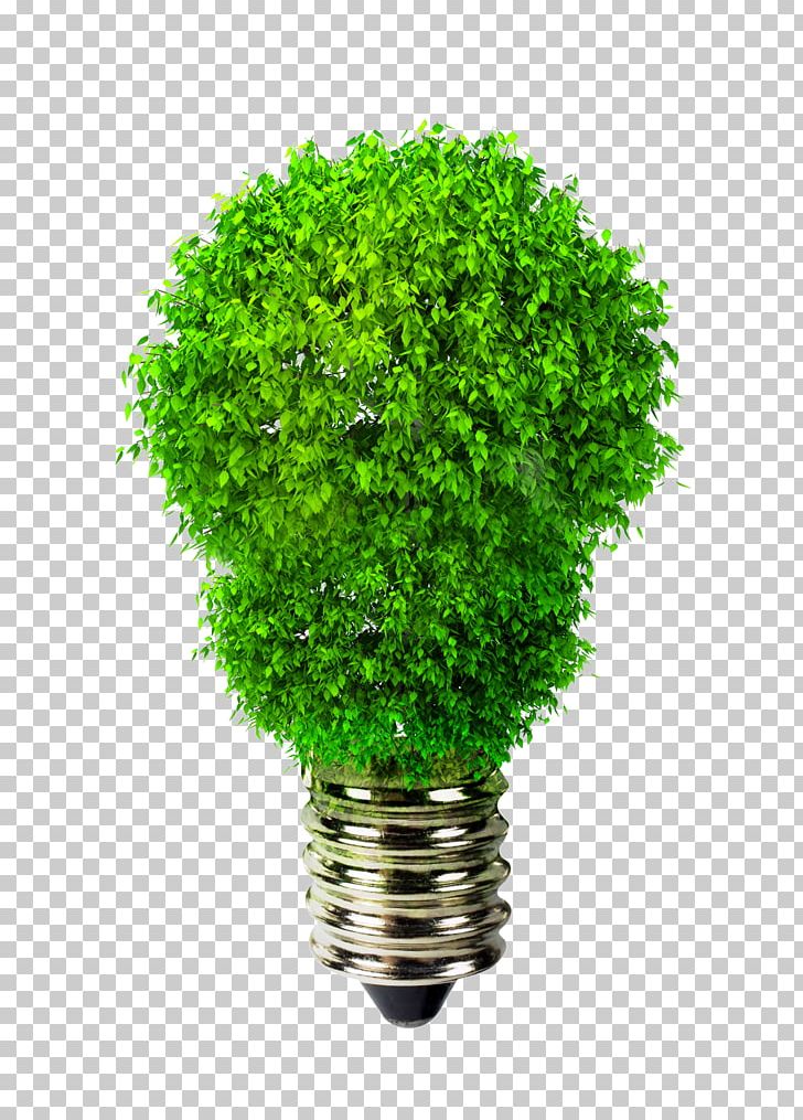Incandescent Light Bulb Green Environmentally Friendly Renewable Energy PNG, Clipart, Background Green, Bulb, Dow, Efficient Energy Use, Electricity Free PNG Download