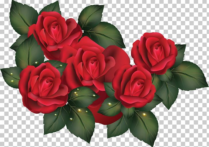 Rose Flower PNG, Clipart, Cut Flowers, Desktop Wallpaper, Floral Design, Floribunda, Floristry Free PNG Download