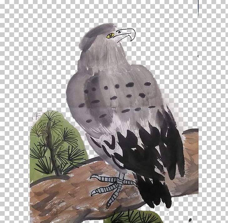 U6c34u58a8u753bu9e70 Ink Wash Painting PNG, Clipart, Animals, Beak, Bird, Bird Of Prey, Buzzard Free PNG Download