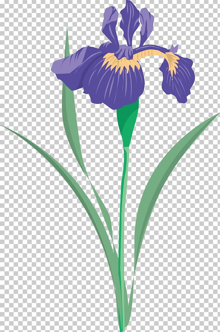 Iris Versicolor Iris Flower Data Set PNG, Clipart, Creative Floral Pattern, Cut Flowers, Figure Flowers, Flora, Floral Border Free PNG Download