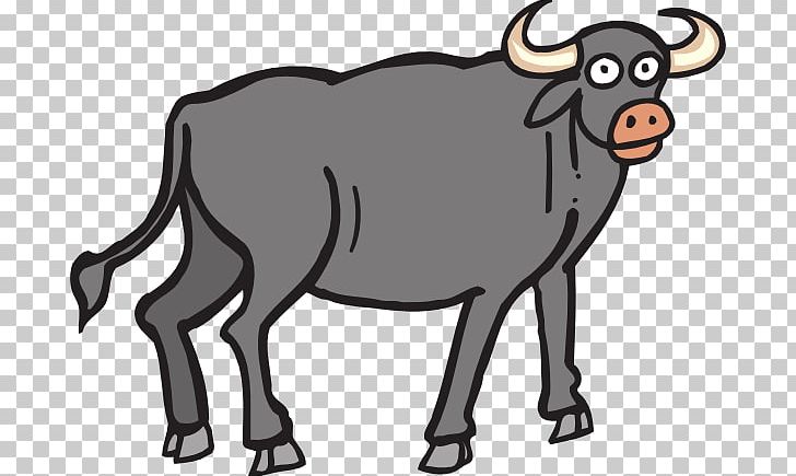 Water Buffalo African Buffalo PNG, Clipart, American Bison, Animal Figure, Animation, Bull, Cattle Like Mammal Free PNG Download