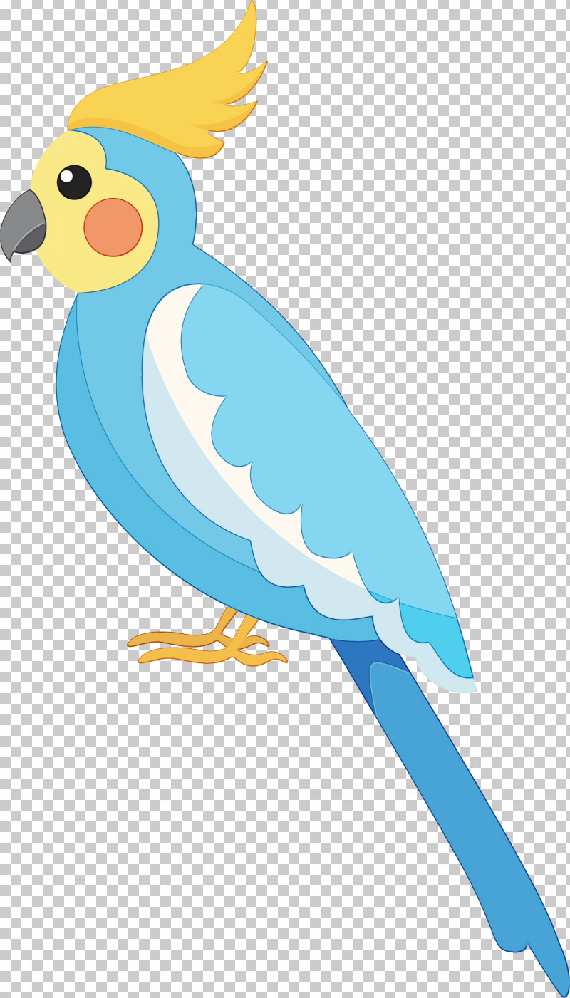 Feather PNG, Clipart, Animal Figurine, Beak, Bird, Cartoon, Cartoon Bird Free PNG Download