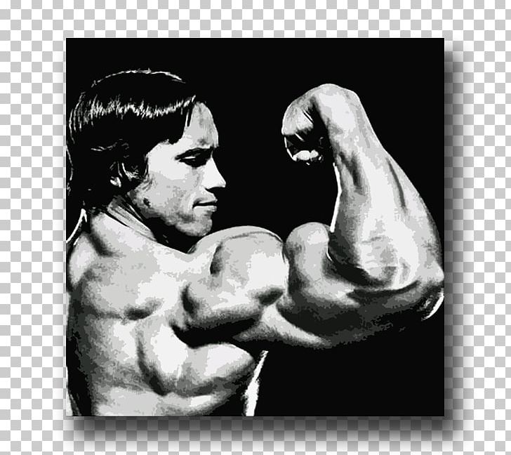 Arnold Schwarzenegger Arm Bodybuilding Biceps Muscle PNG, Clipart, Abdomen, Aggression, Arm, Arnold Schwarzenegger, Bodybuilder Free PNG Download