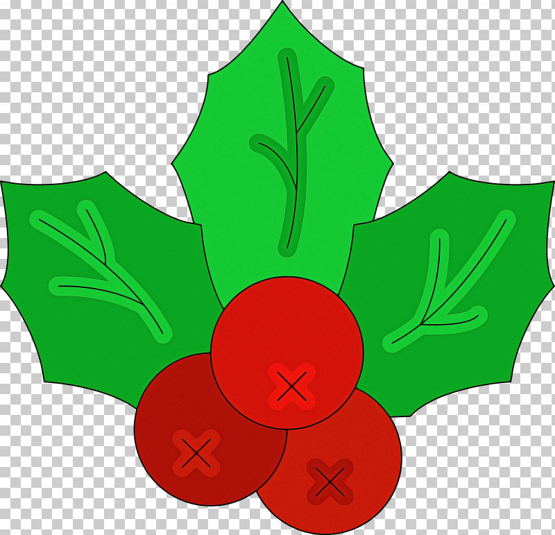 Holly PNG, Clipart, Flower, Green, Holly, Leaf, Plant Free PNG Download