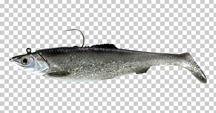 Sardine American Shad Herring Fish Clupeidae PNG, Clipart, American Shad, Anchovy, Barramundi, Bony Fish, Chicken As Food Free PNG Download