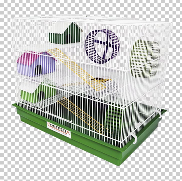 Cage Rodent Golden Hamster Cockatiel Pet PNG, Clipart, Animal, Asiatic Dwarf Hamsters, Birdcage, Cage, Casinha Free PNG Download
