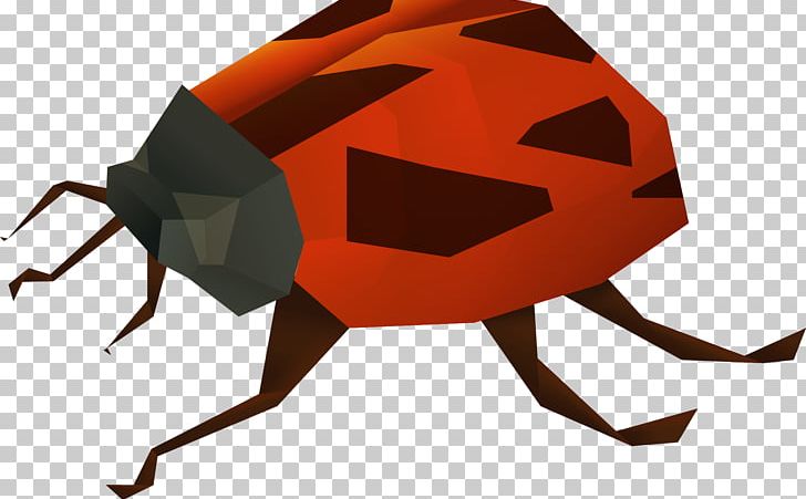 Insect Bee Ladybird Euclidean PNG, Clipart, Adobe Illustrator, Animal, Arthropod, Bee, Beneficial Insects Free PNG Download