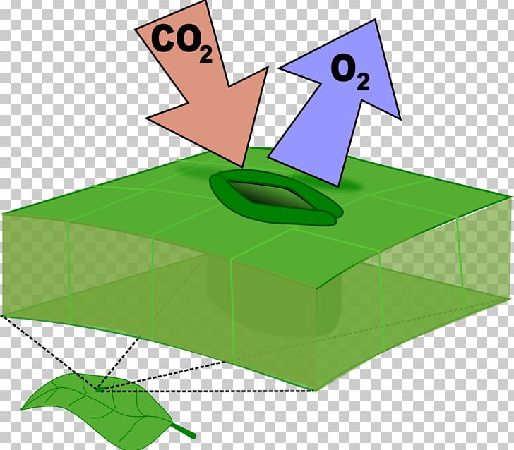 Stoma Leaf PNG, Clipart, Angle, Area, Carbon Dioxide, Computer Icons, Diagram Free PNG Download