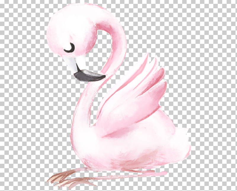 Flamingo PNG, Clipart, Bird, Ducks Geese And Swans, Flamingo, Greater Flamingo, Pink Free PNG Download