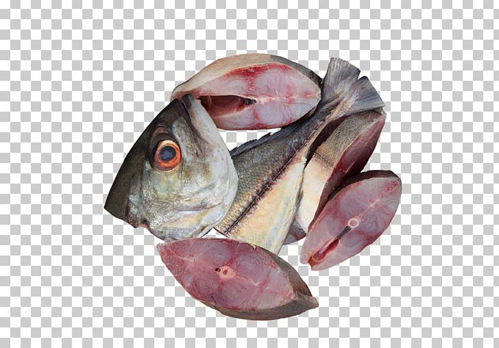 Cod Fish Products Mackerel Oily Fish PNG, Clipart, Animals, Animal Source Foods, Bony Fishes, Cod, Fish Free PNG Download