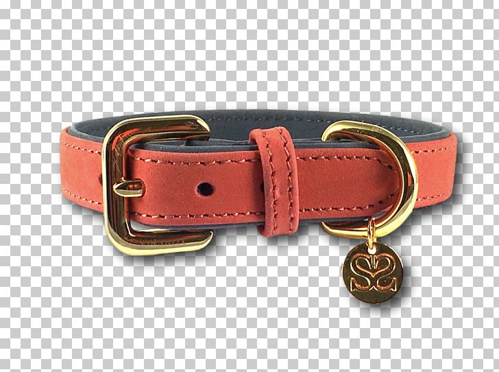 Dog Collar Red Puppy Chihuahua PNG, Clipart, Animals, Belt, Belt Buckle, Belt Buckles, Black Free PNG Download