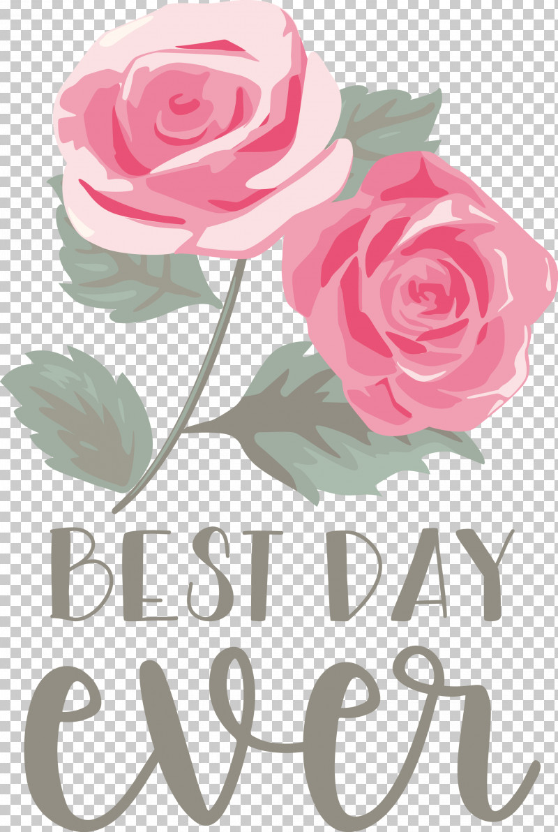 Best Day Ever Wedding PNG, Clipart, Best Day Ever, Blue Rose, Cabbage Rose, Cut Flowers, Floral Design Free PNG Download